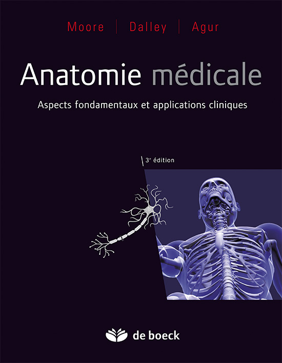 Anatomie médicale