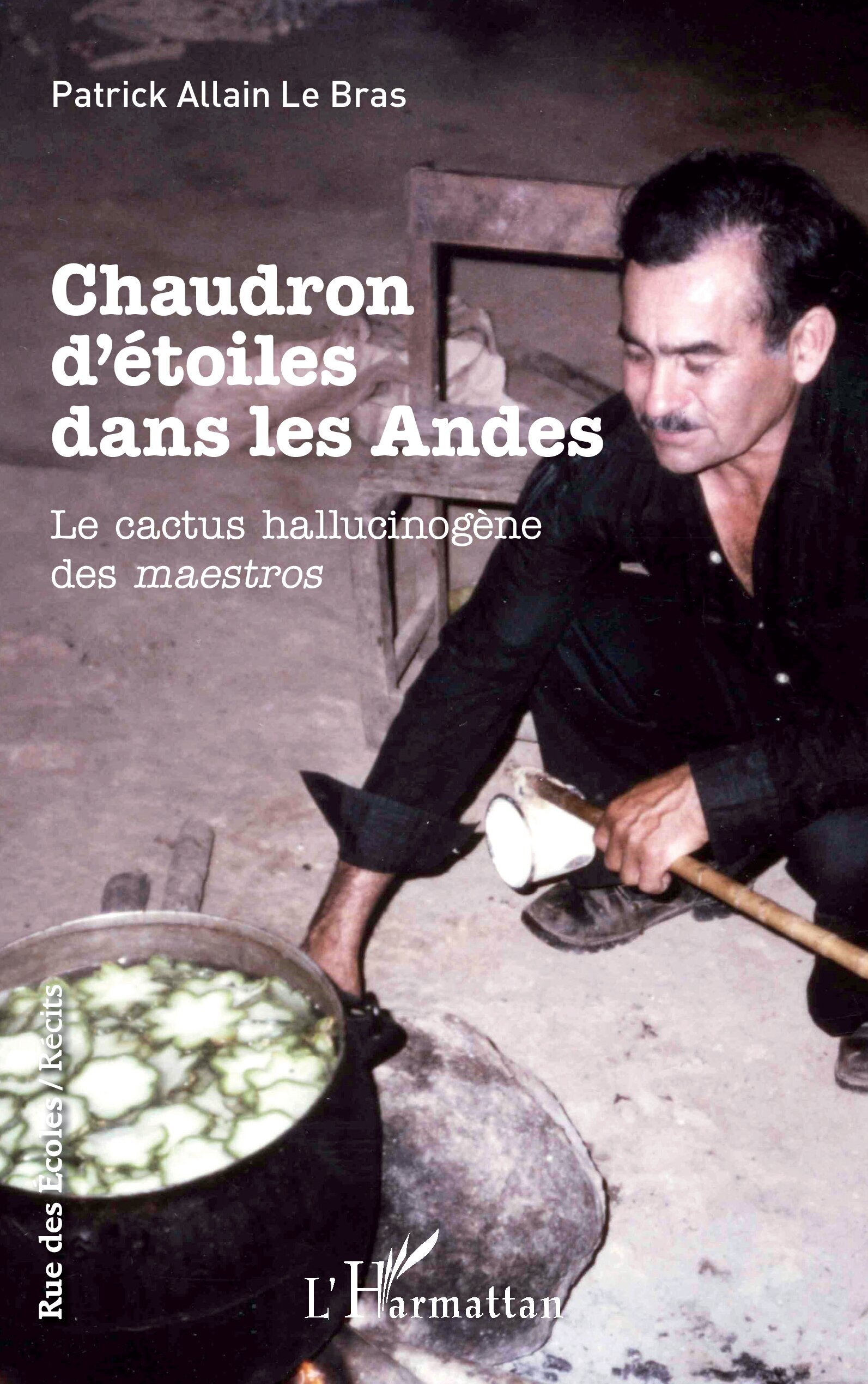 Chaudron d'étoiles dans les Andes