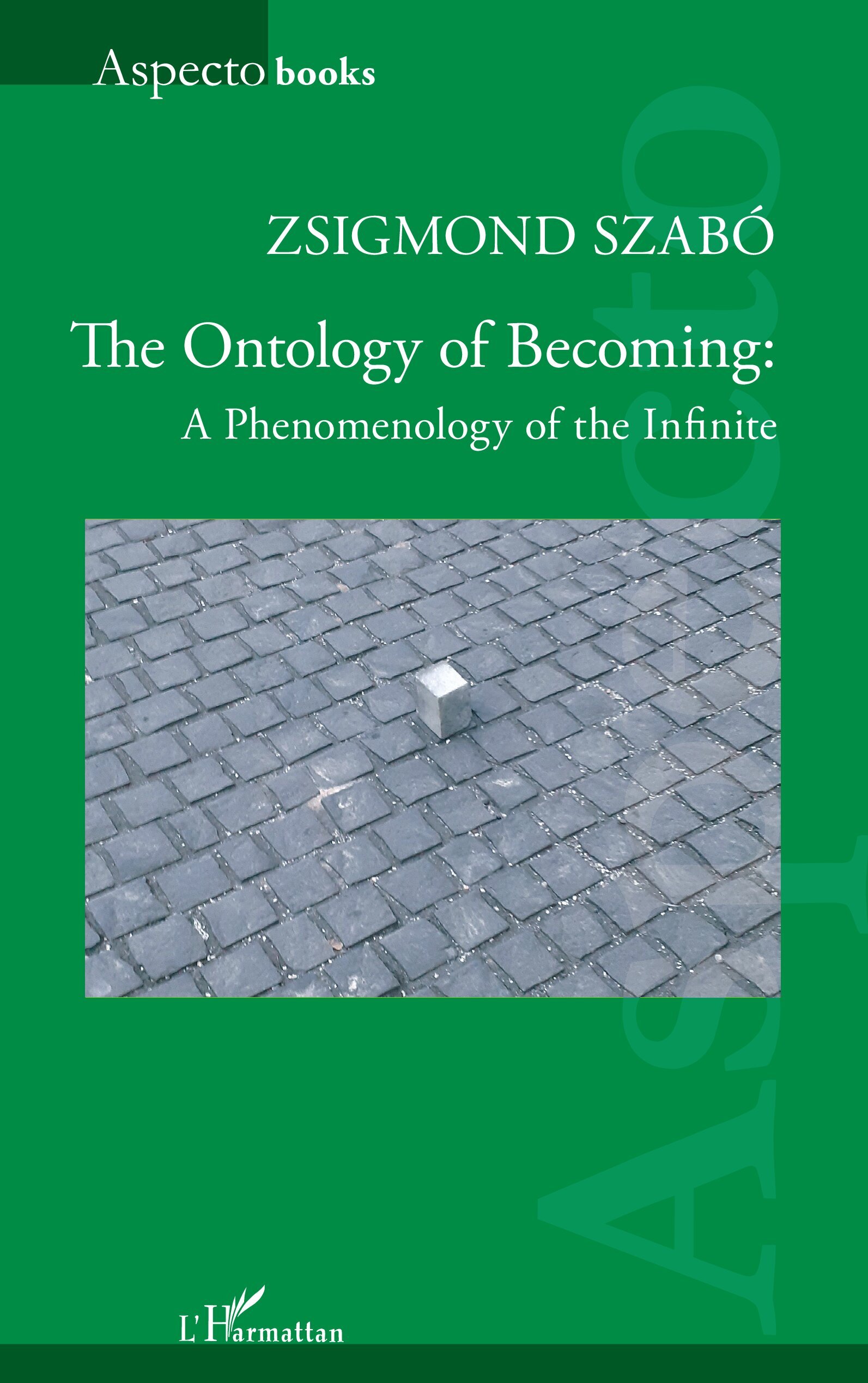 The Ontology of Becoming :