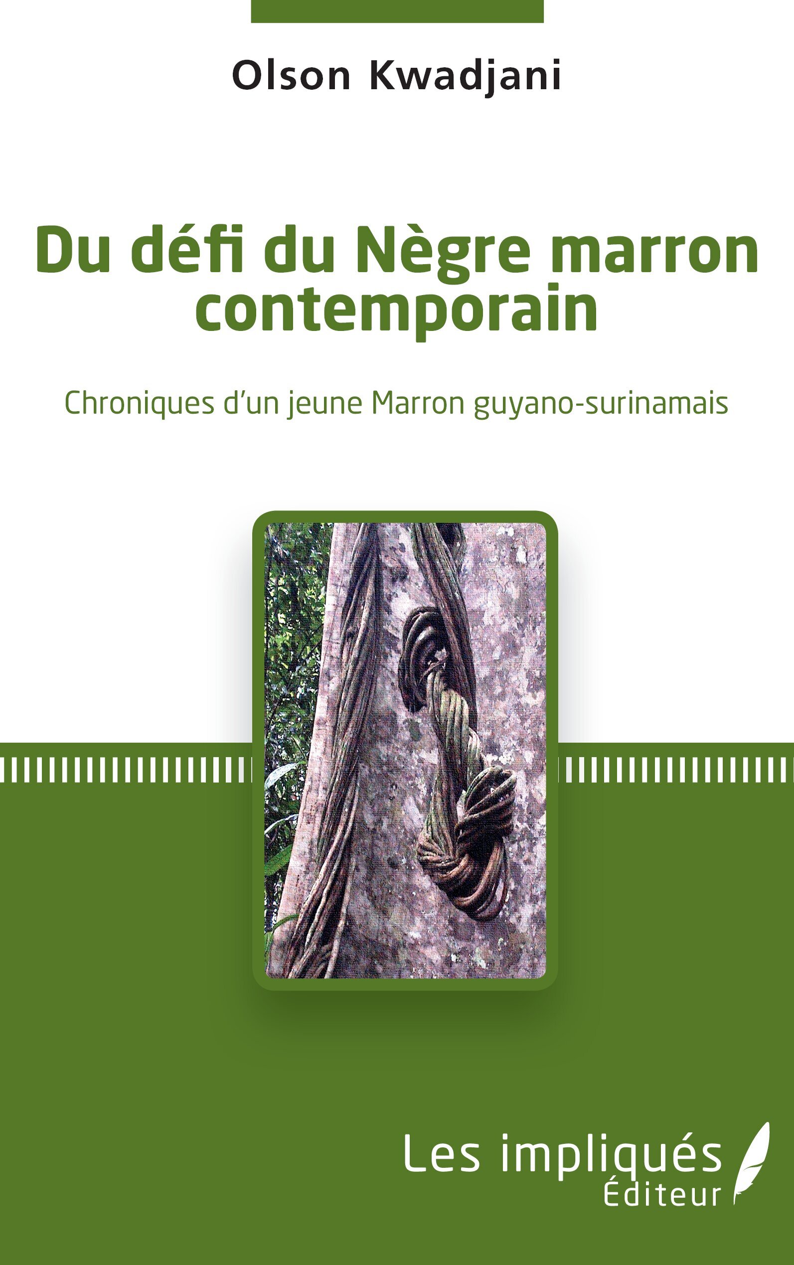 Du défi du Nègre marron contemporain
