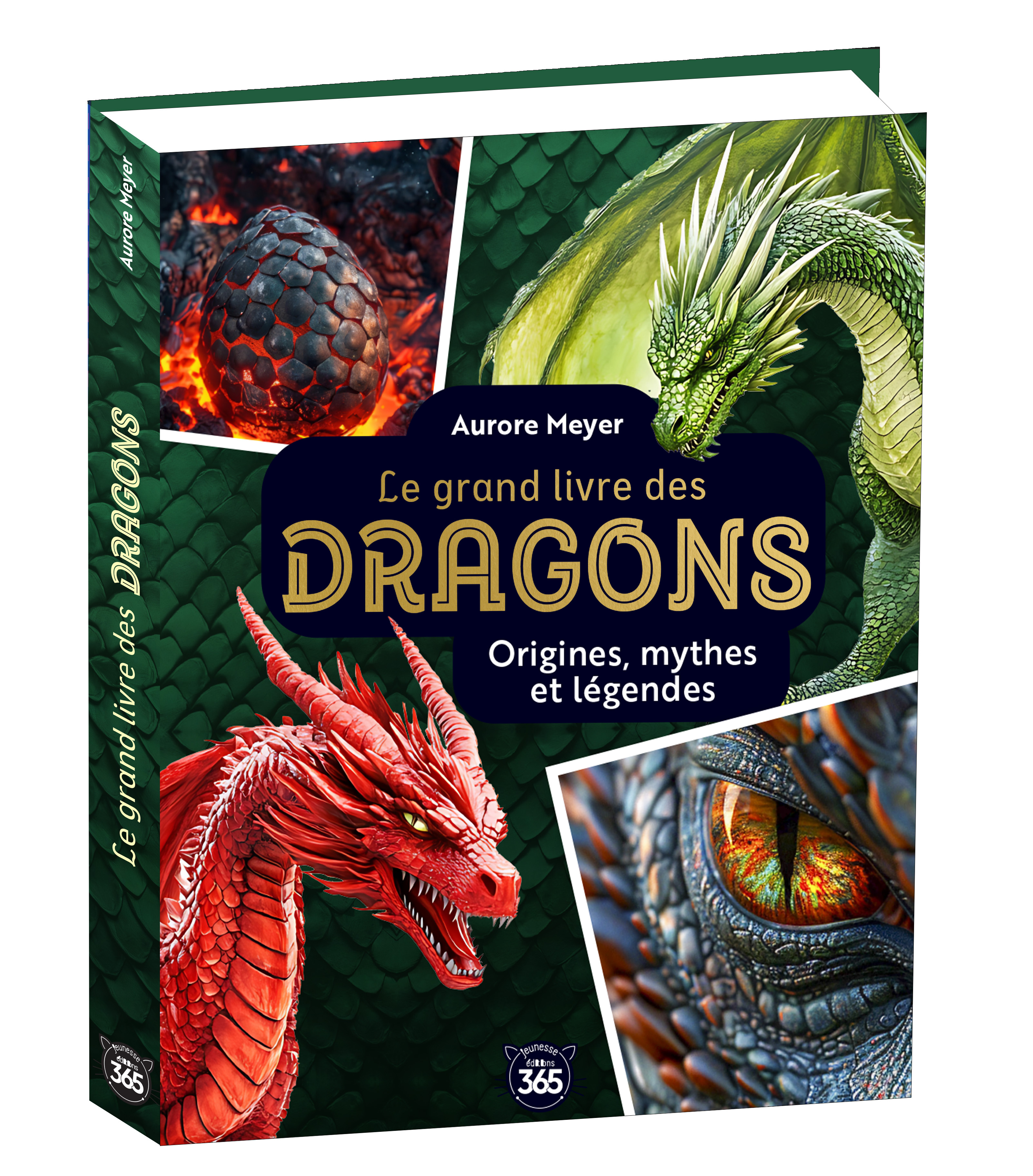 Mon grand livre des dragons