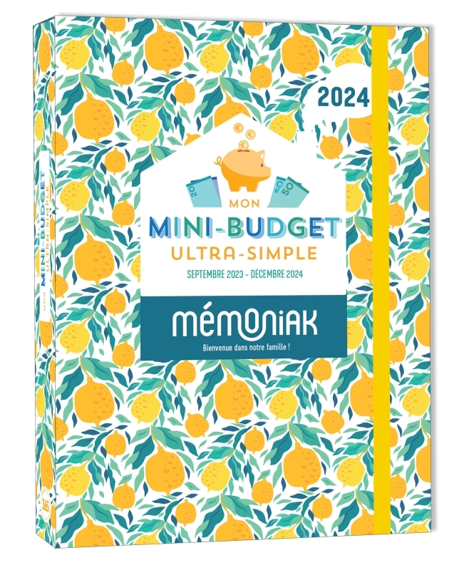 Mon mini-budget ultra-simple Mémoniak 2024, sept. 2023- déc 2024