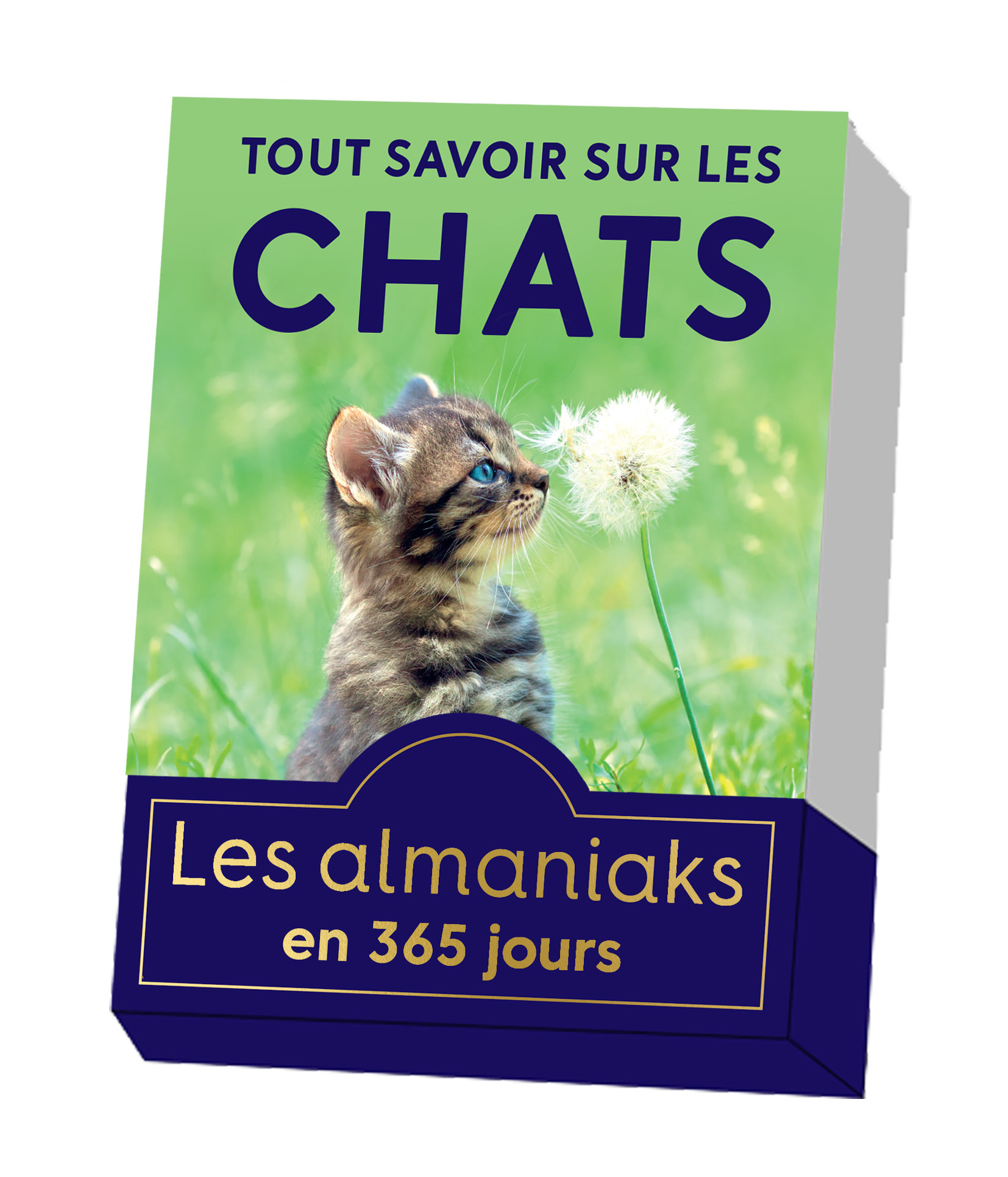 Almaniak Tout savoir sur les chats en 365 jours