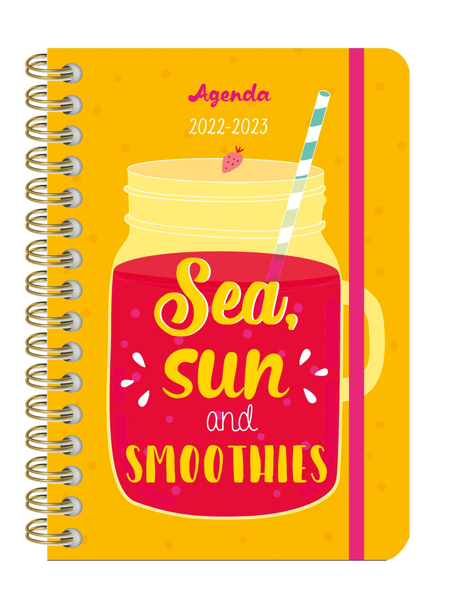 L'agenda de mon année sept. 2022- déc. 2023 - Sea, sun & smoothie, une année vitaminée, spirales