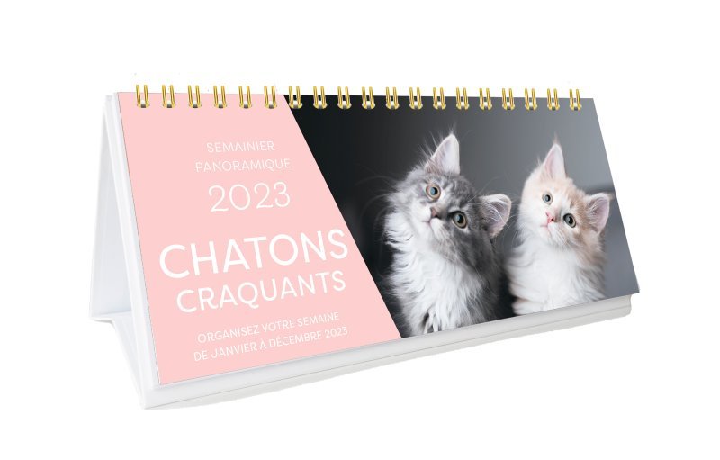 Semainier panoramique 2023 - Chatons craquants - 1 photo par semaine