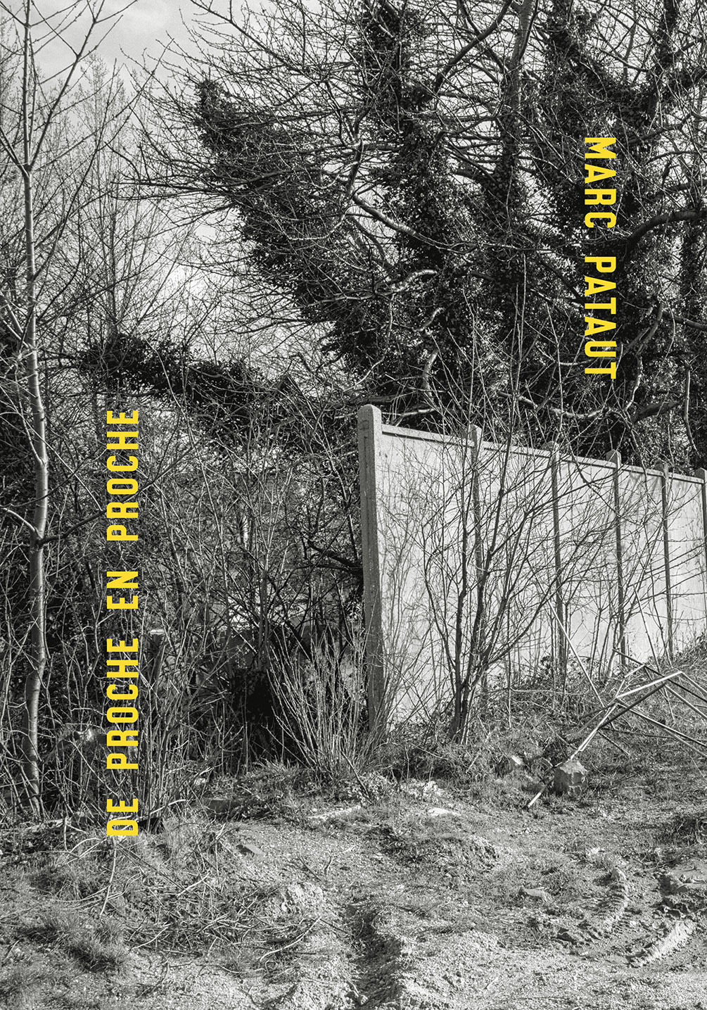 Marc Pataut, de proche en proche