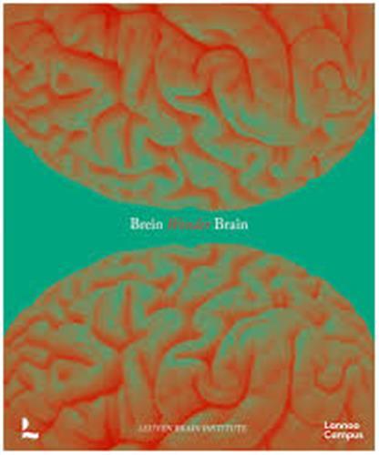 Wonder Brain /anglais/nEerlandais