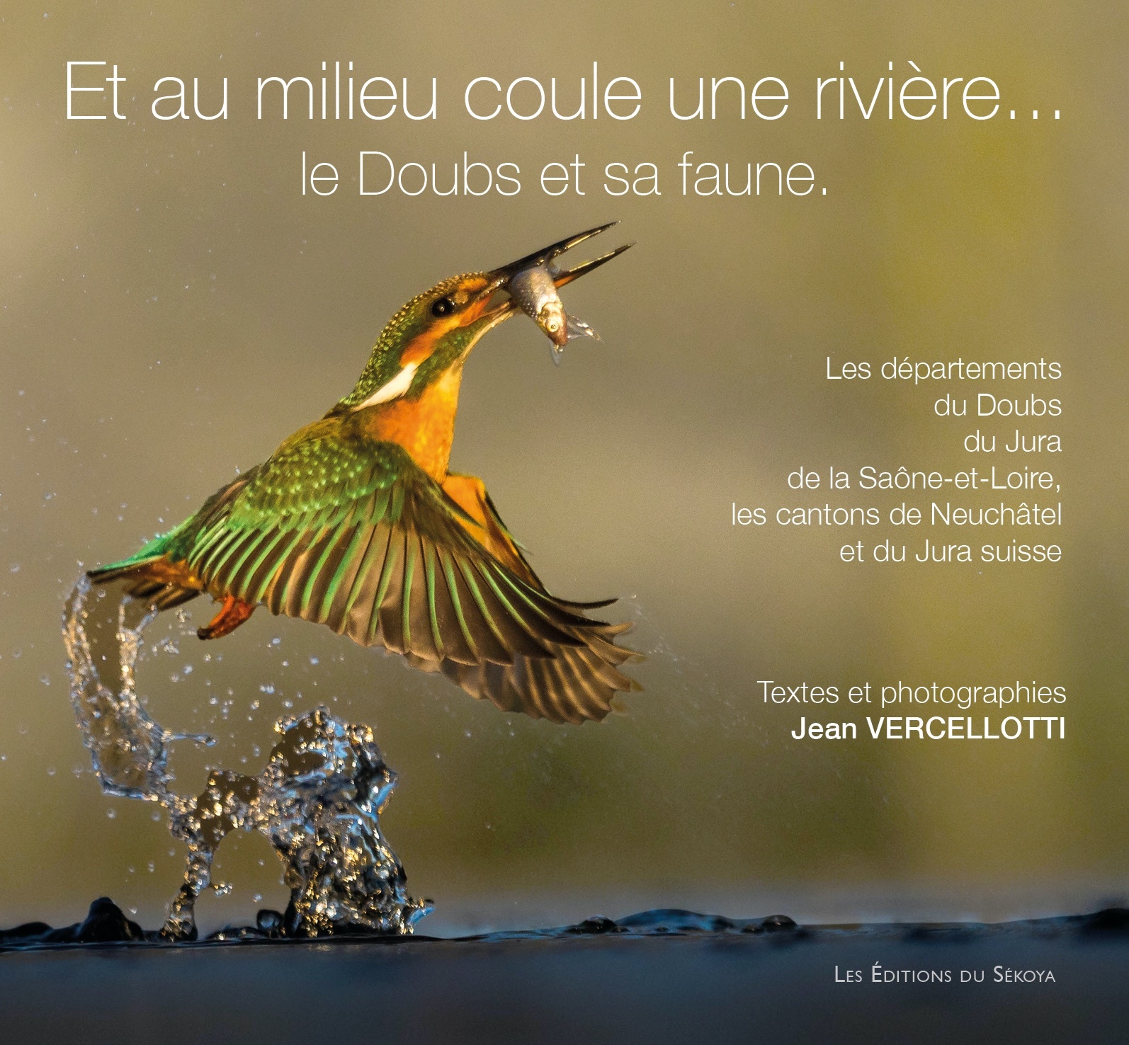 Et au milieu coule une rivière
