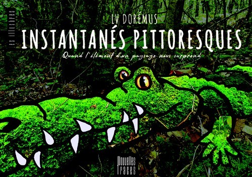 INSTANTANÉS PITTORESQUES