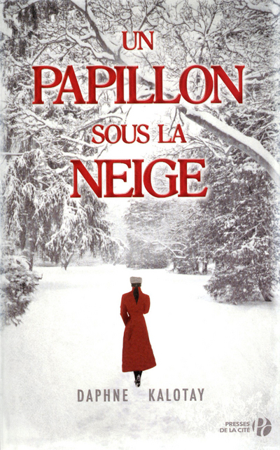 Un papillon sous la neige