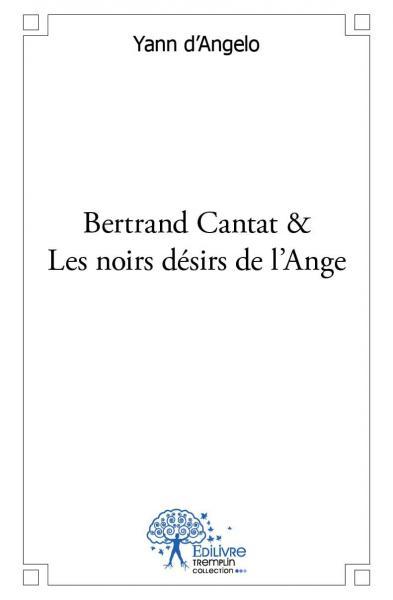 Bertrand cantat & les noirs désirs de l'ange