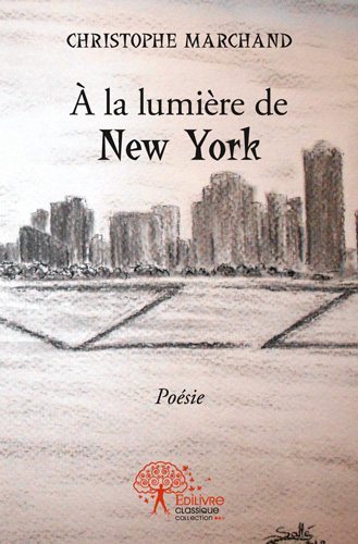 à la lumière de new york