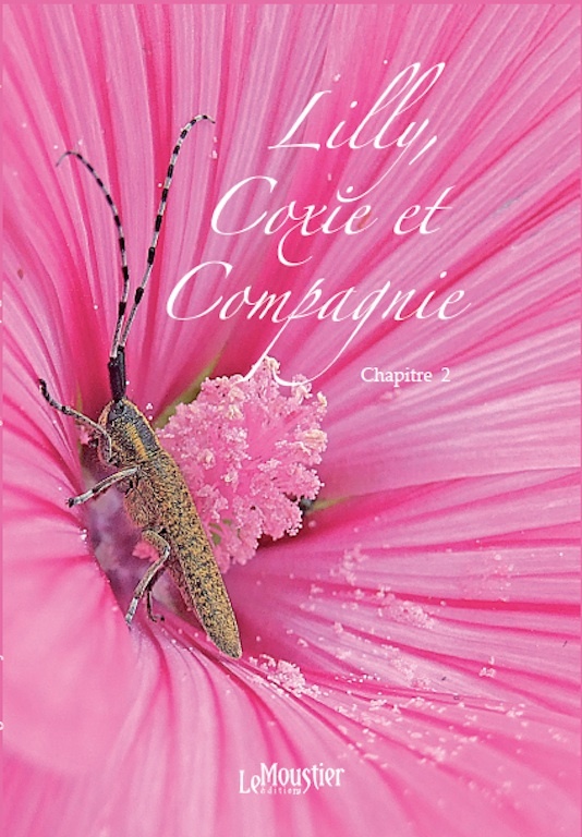 Lilly, Coxie et Compagnie 2