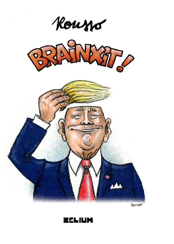 Brainxit