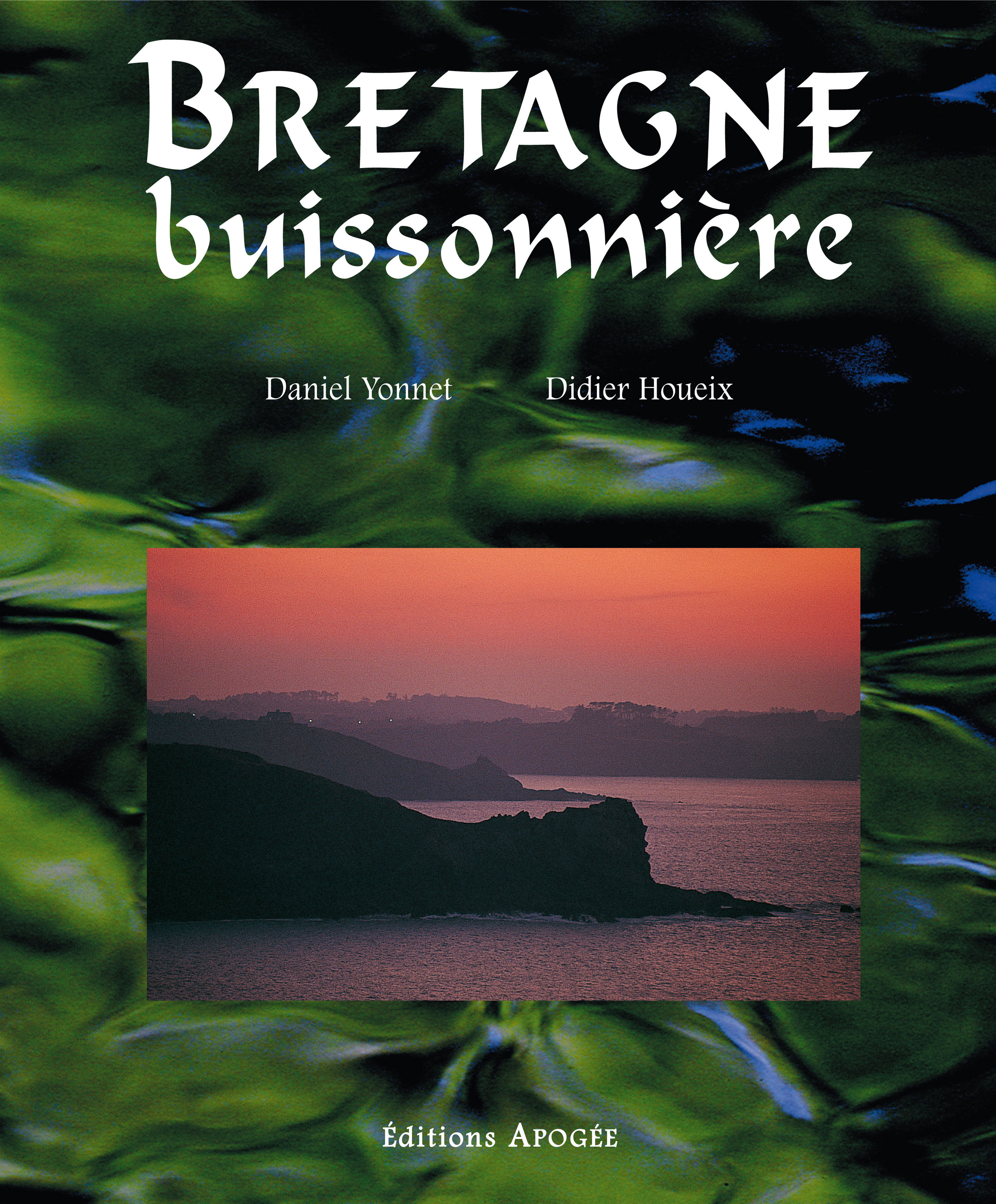 BRETAGNE BUISSONNIERE