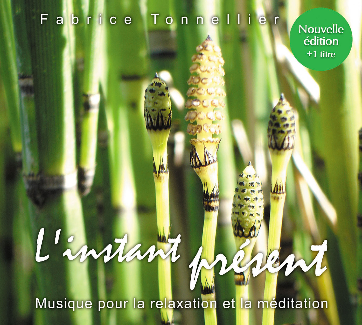 L'instant présent : Nouvelle Edition