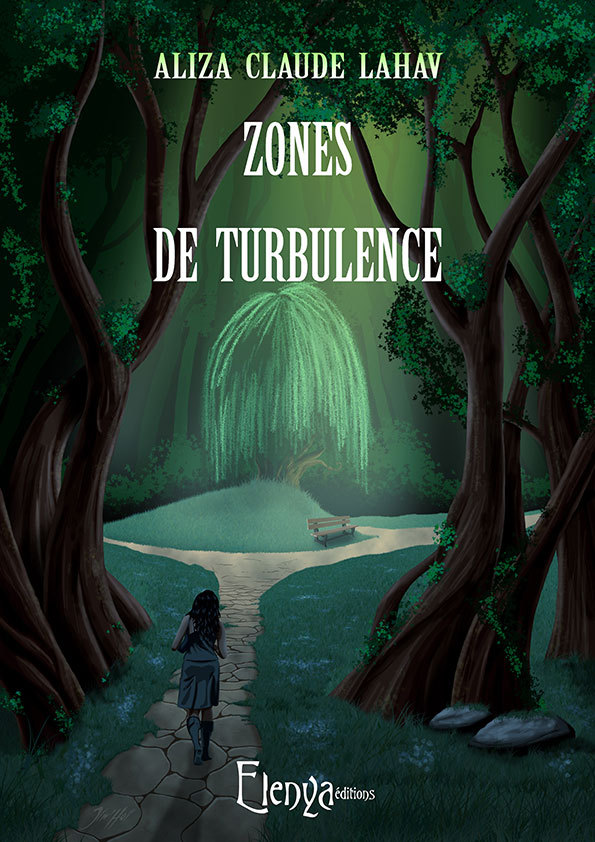 ZONES DE TURBULENCE