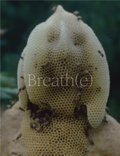 Breath(e): Toward Climate and Social Justice /anglais