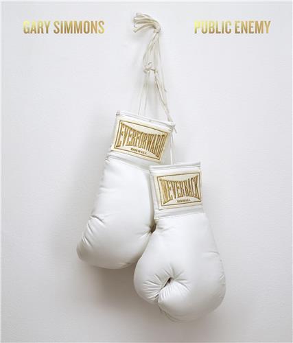 Gary Simmons Public Enemy /anglais