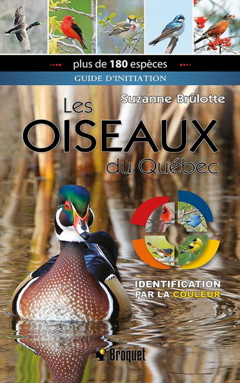 LES OISEAUX DU QUEBEC. GUIDE D'INITIATION. IDENTIFICATION PAR LA