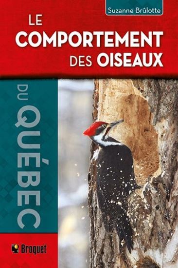 LE COMPORTEMENT DES OISEAUX DU QUEBEC