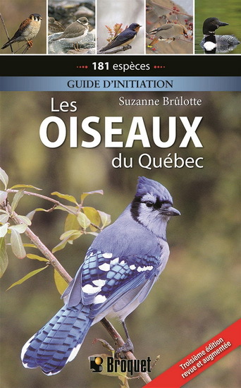 LES OISEAUX DU QUEBEC GUIDE D'INITIATION 3E ED.