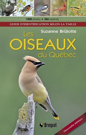 LES OISEAUX DU QUEBEC