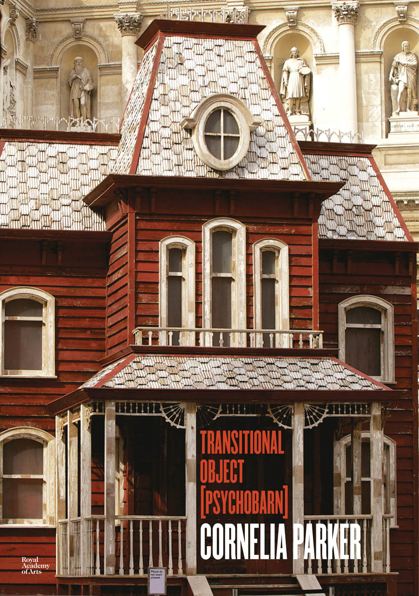 Cornelia Parker Transitional Object /anglais