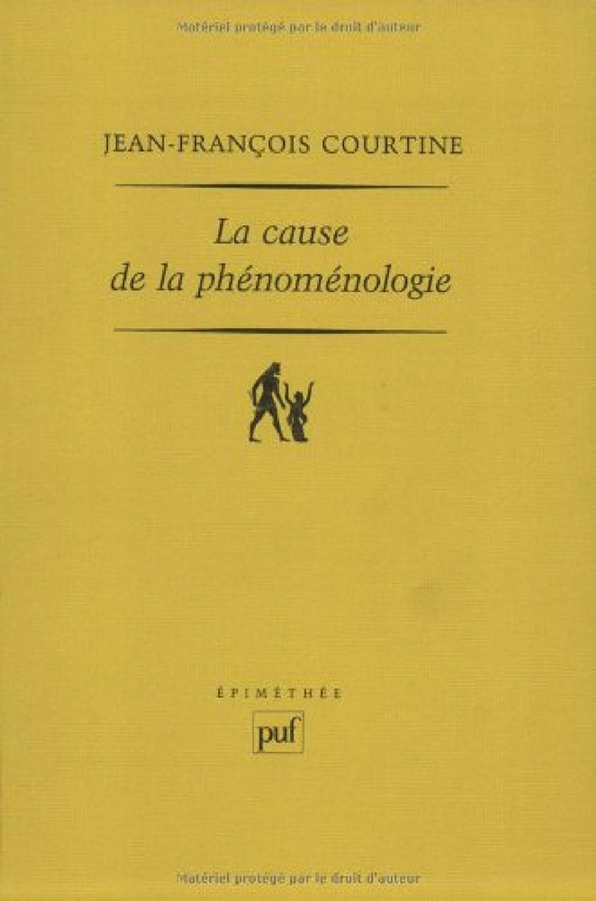La cause de la phénoménologie