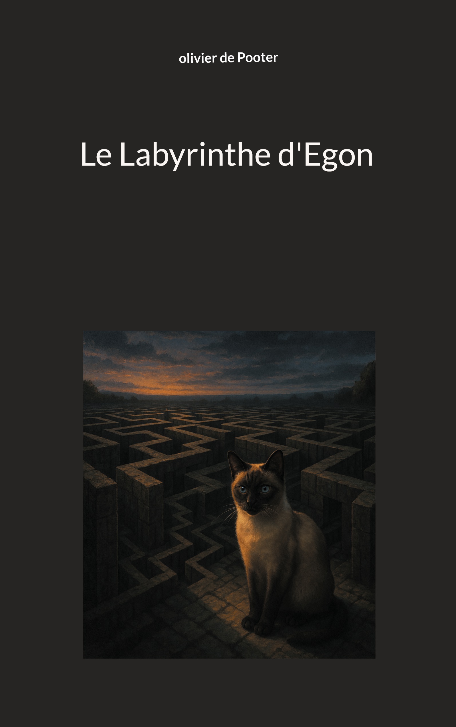 Le Labyrinthe d'Egon