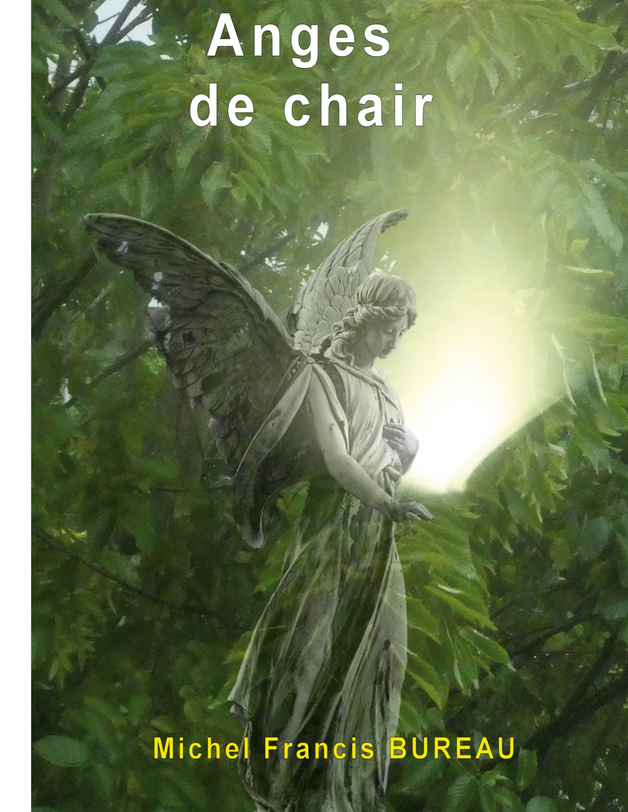 Anges de chair