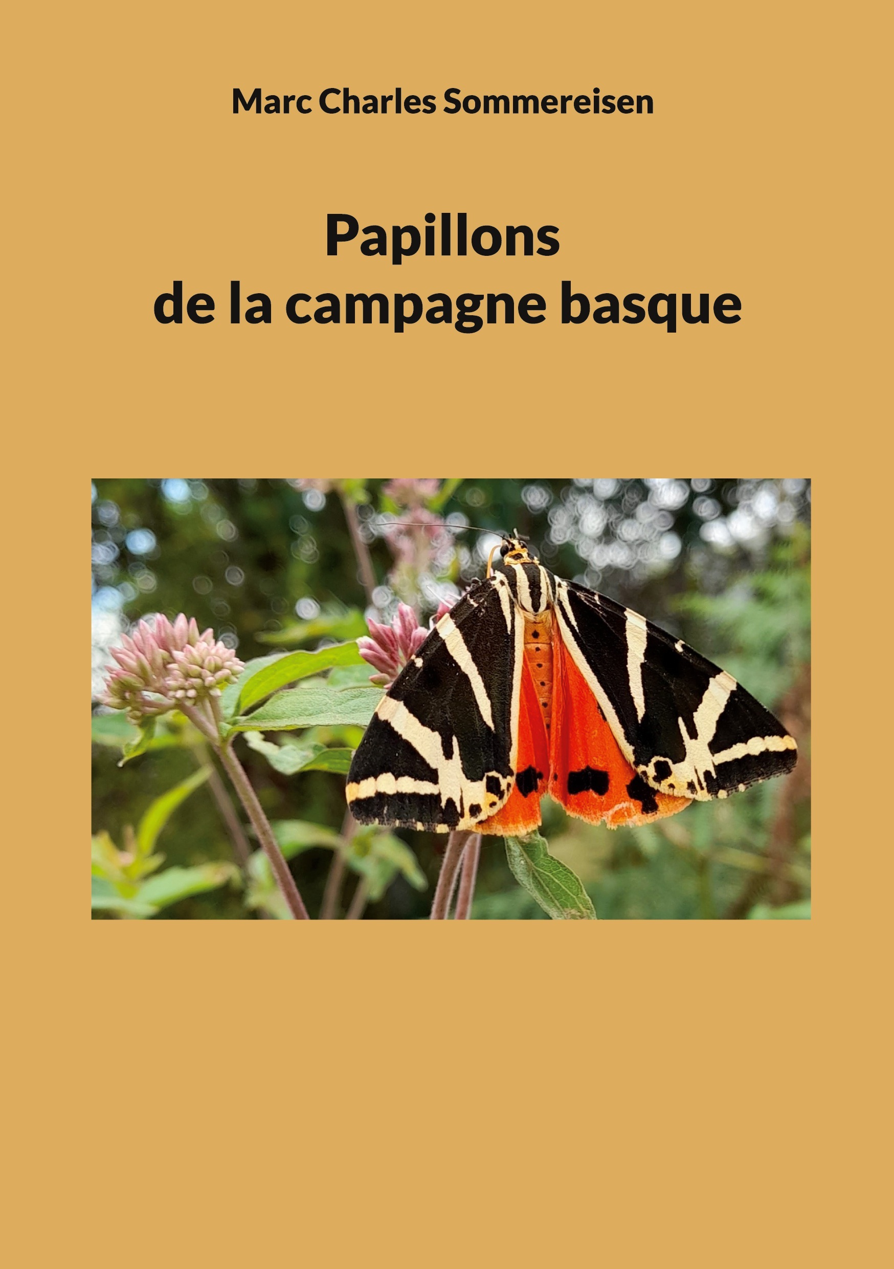 Papillons de la campagne basque