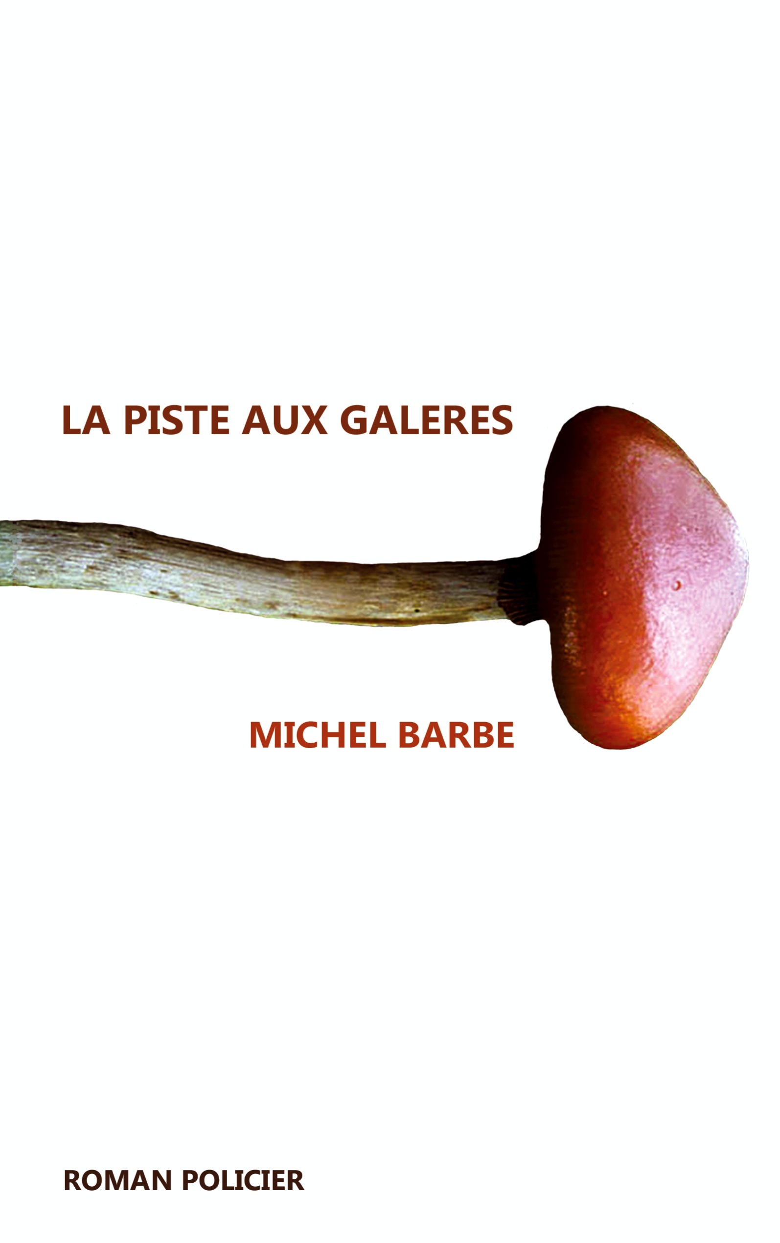 PISTE AUX GALERES