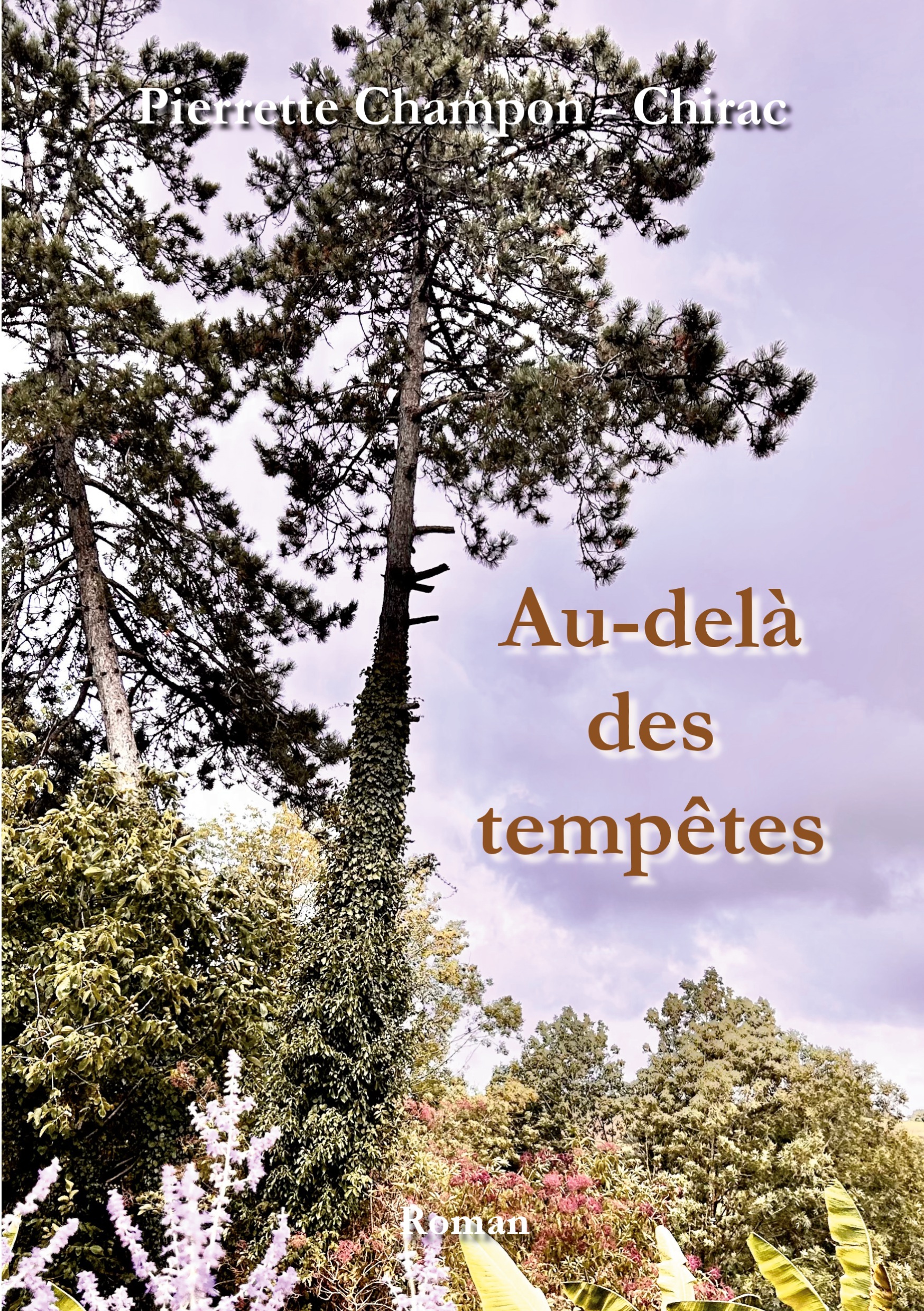 Au-delà des tempêtes