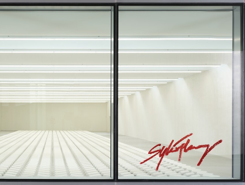 Sylvie Fleury - Double Positive