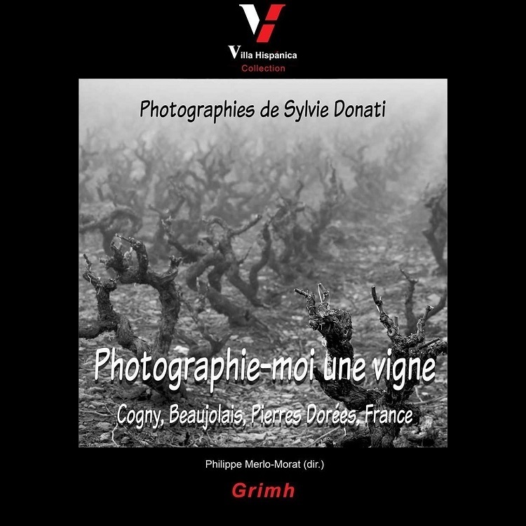 Photographie-moi une vigne