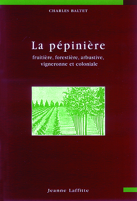 LA PEPINIERE