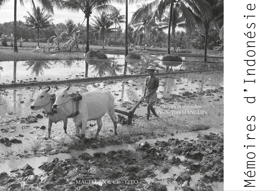 MEMOIRES D'INDONESIE