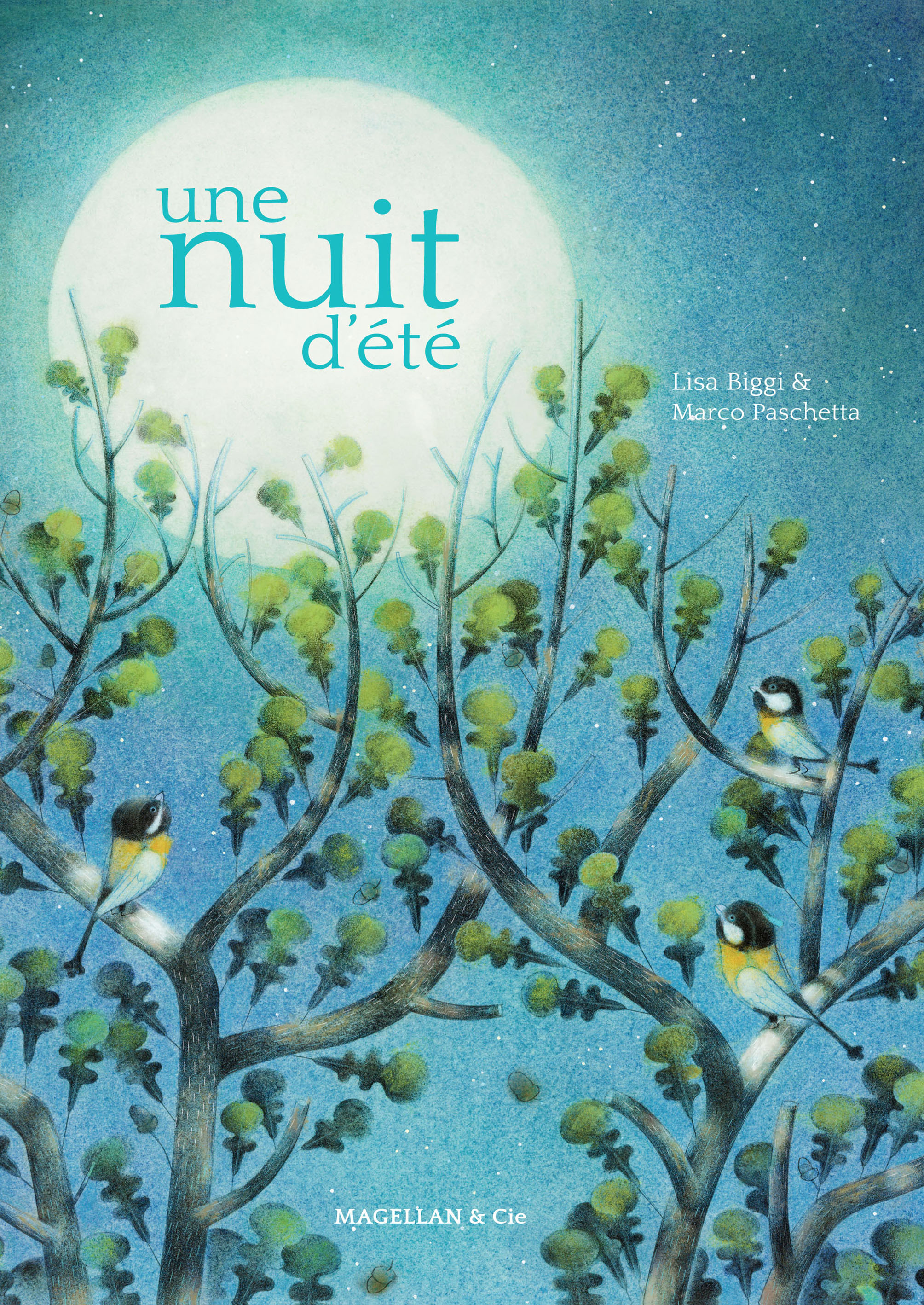Une nuit d'été