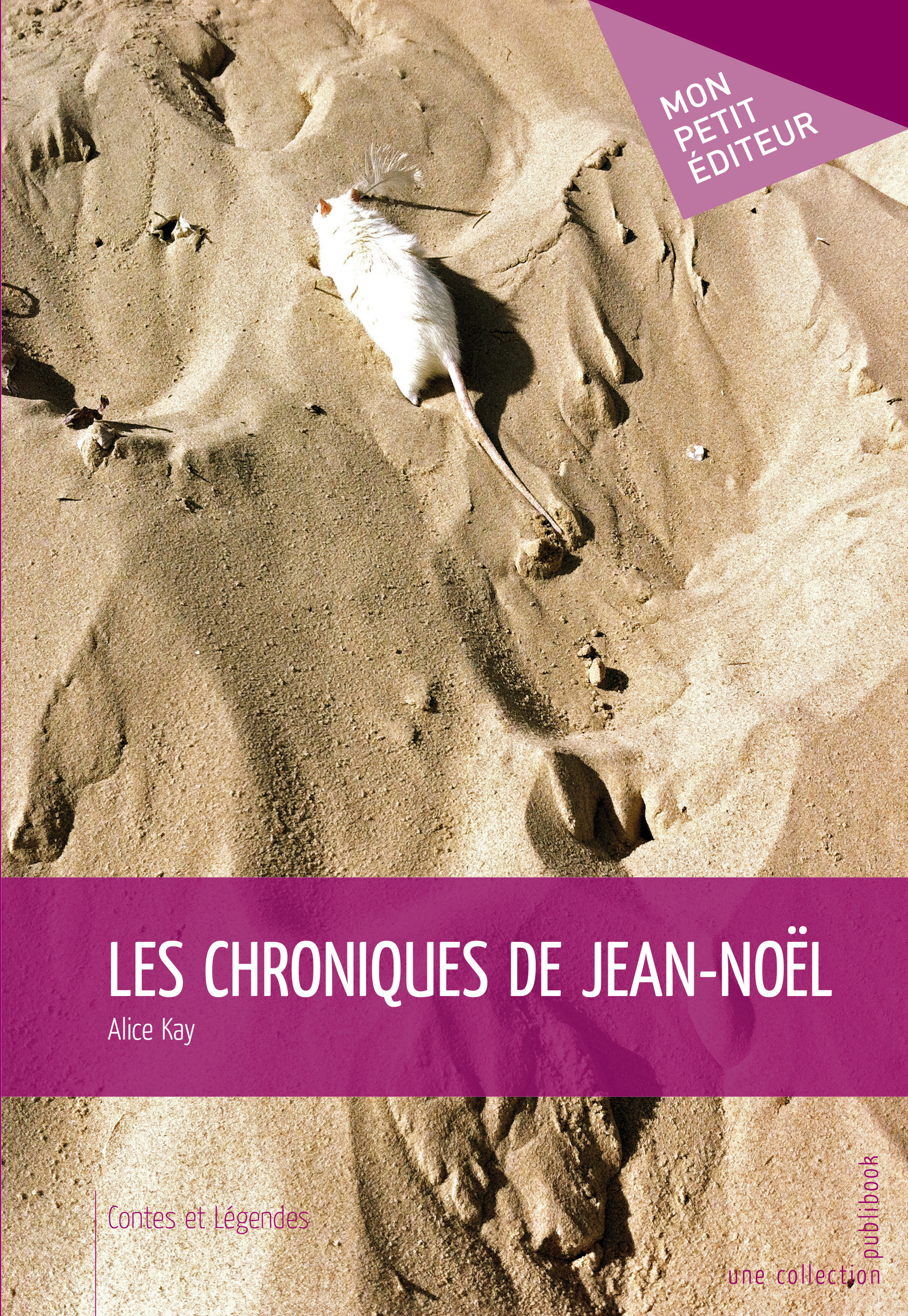 LES CHRONIQUES DE JEAN-NOEL
