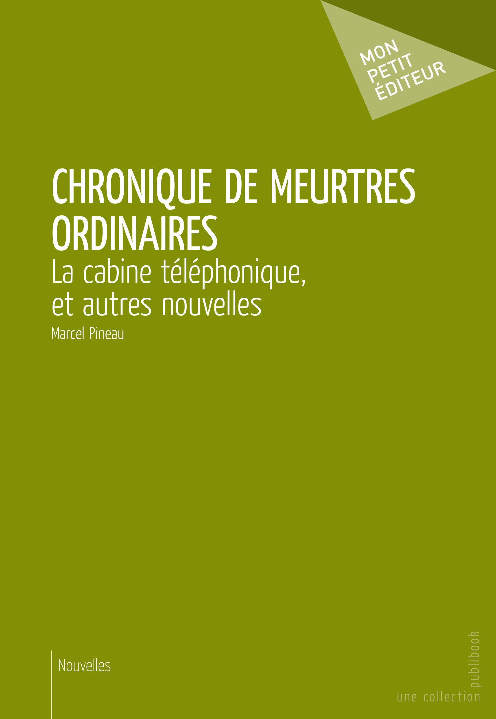 CHRONIQUE DE MEURTRES ORDINAIRES
