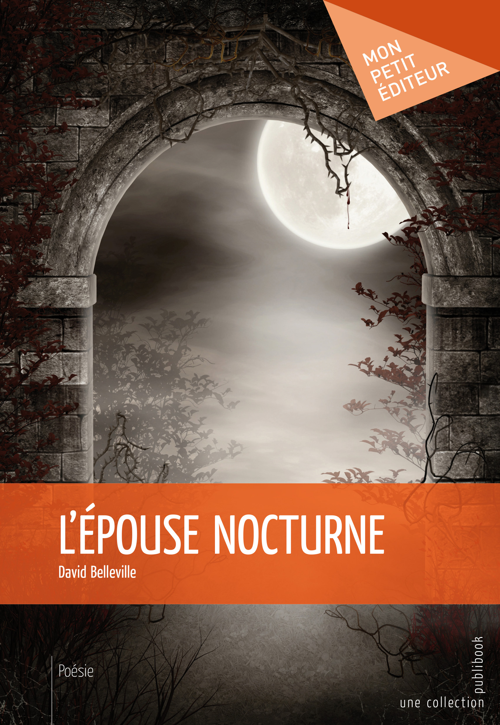 L'EPOUSE NOCTURNE