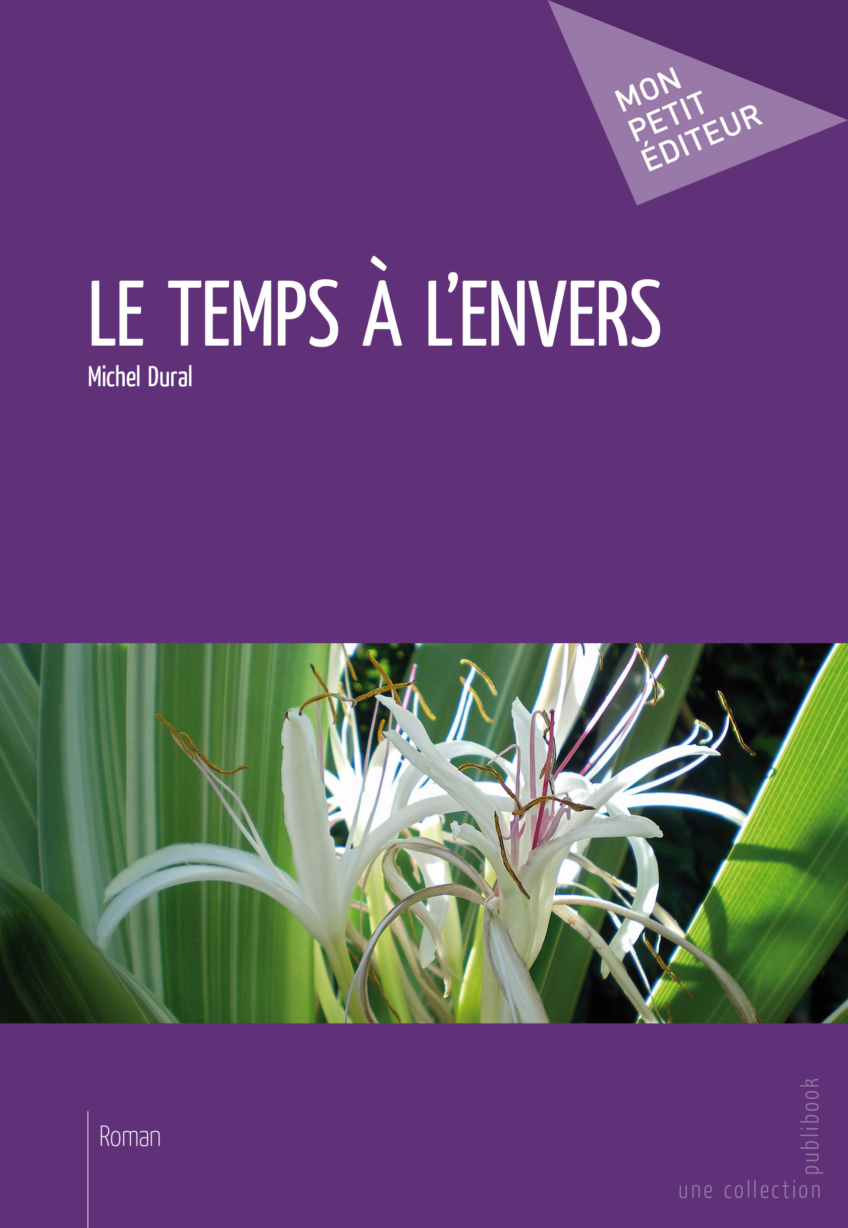 LE TEMPS A L'ENVERS