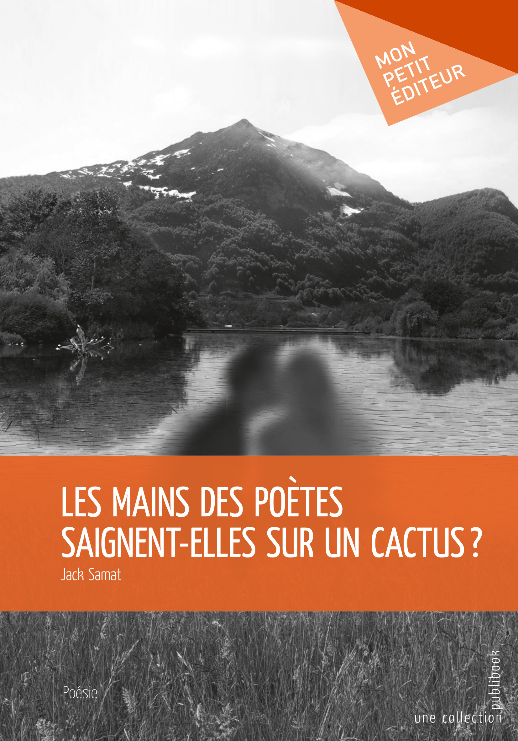 Les mains des poètes saignent-elles sur un cactus ?