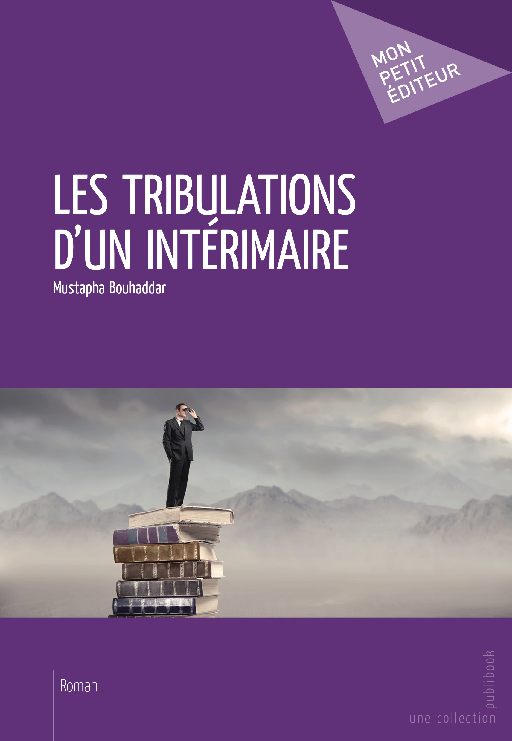 LES TRIBULATIONS D'UN INTERIMAIRE