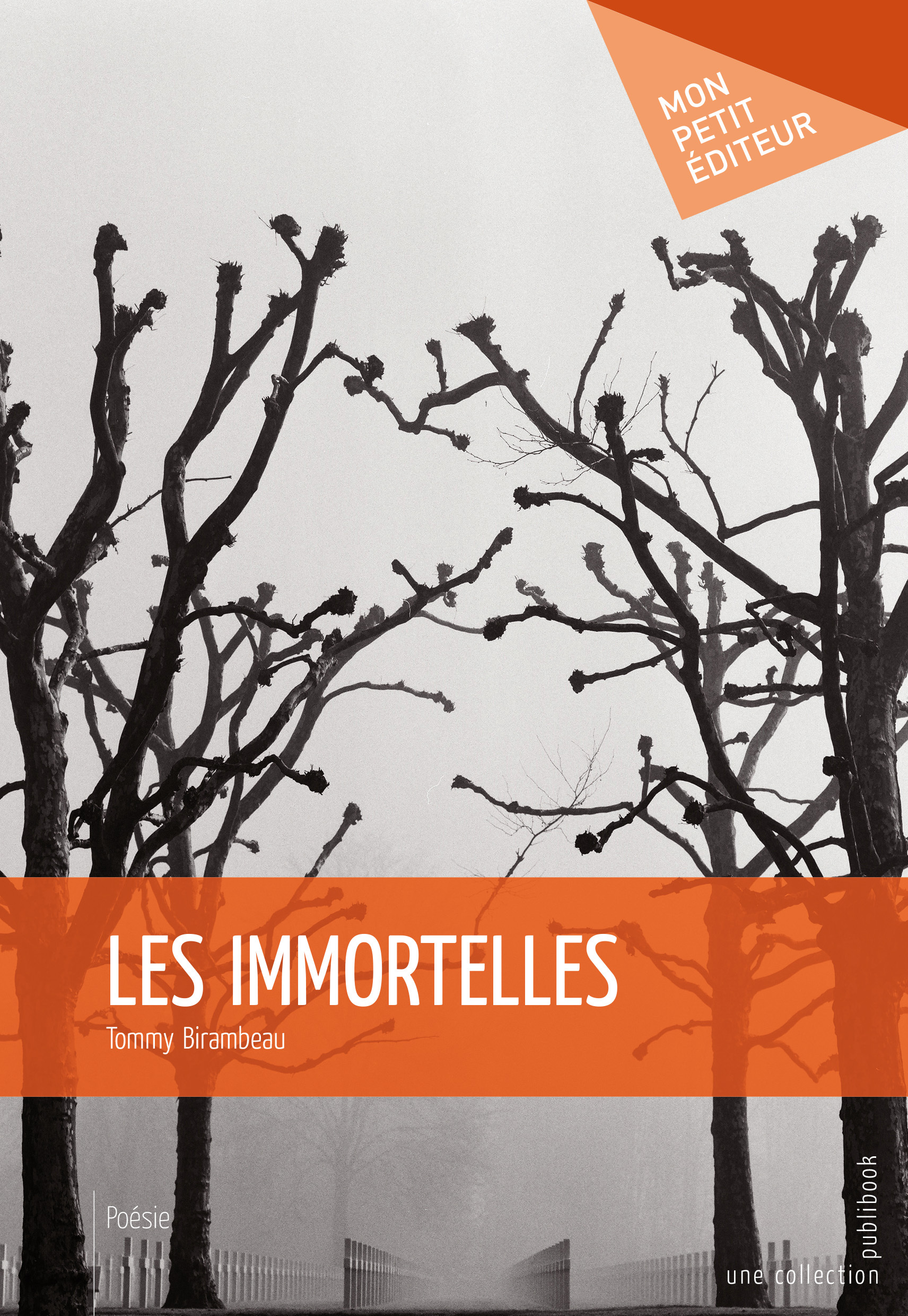 LES IMMORTELLES