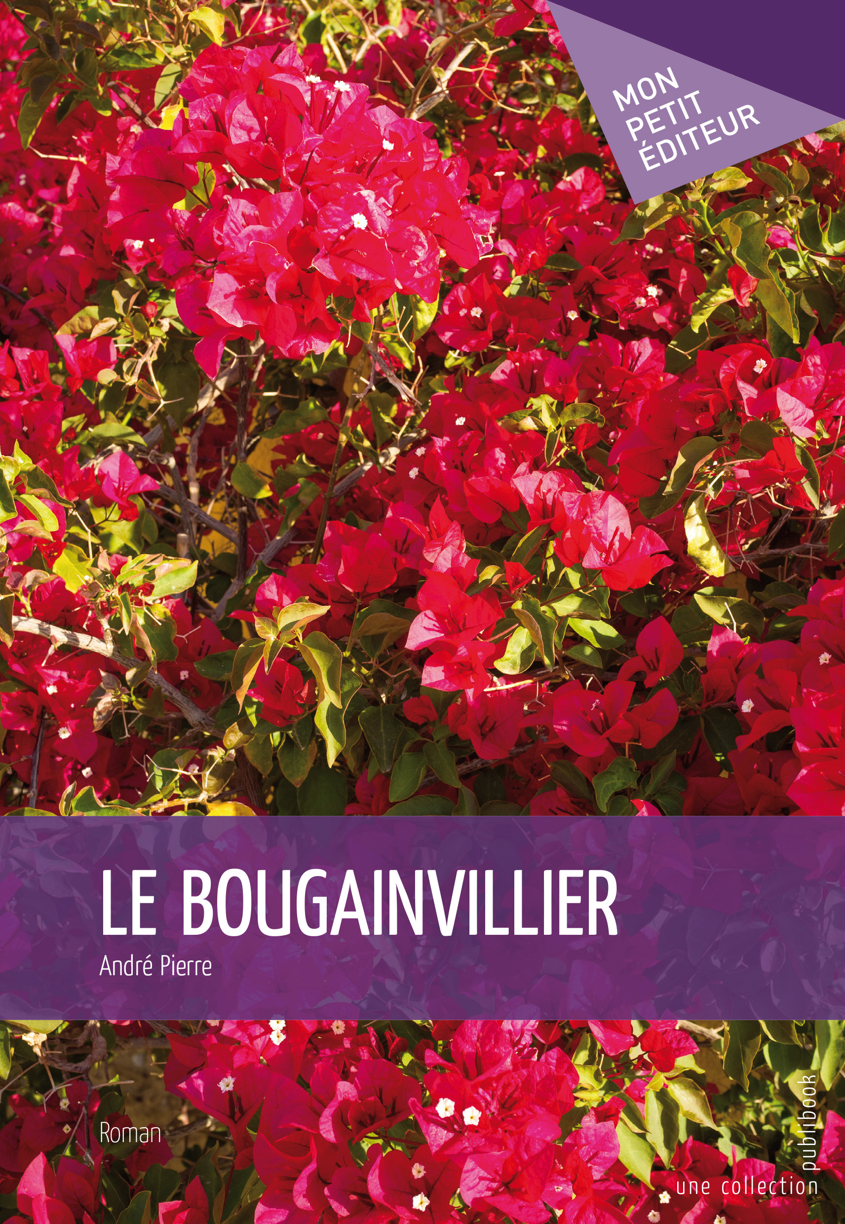 LE BOUGAINVILLIER