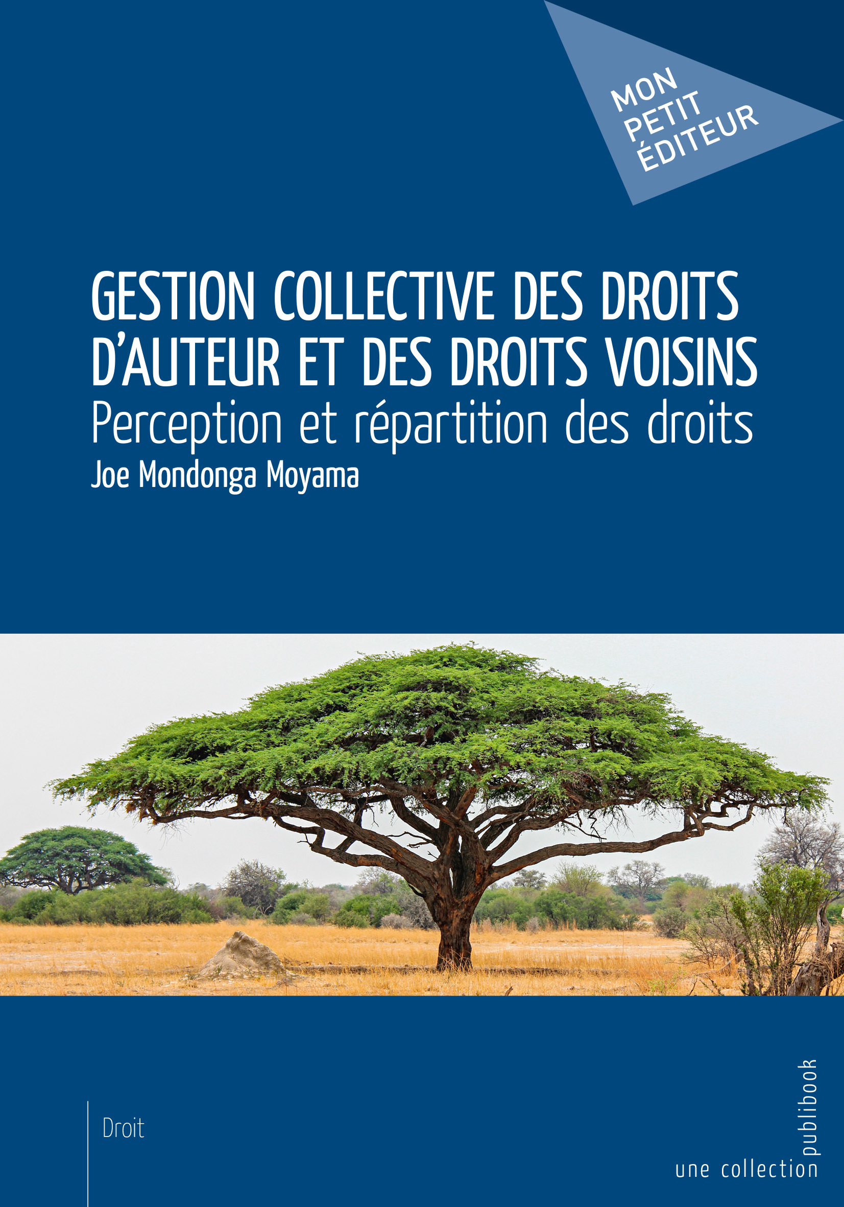 Gestion collective des droits d'auteur et des droits voisins