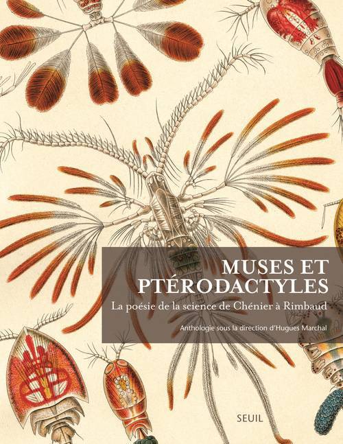 MUSES ET PTERODACTYLES. LA POESIE DE LA SCI ENCE DE CHENIER A RIMBAUD