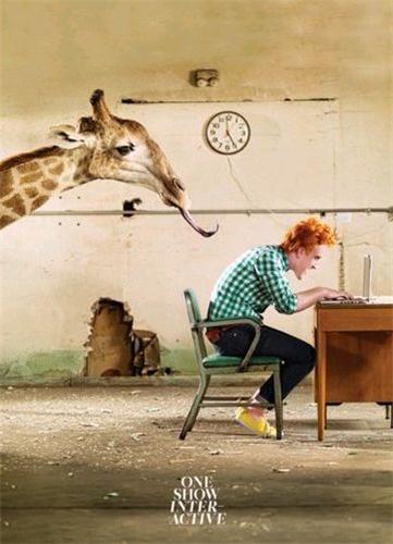 One Show Interactive 15 /anglais